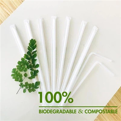 Paja Pla Transparente